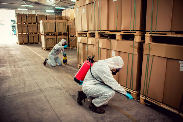 Best Affordable Pest Control Services  in Morgan Hill, CA