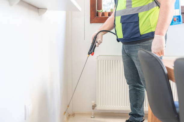 Professional Pest Control in Morgan Hill, CA