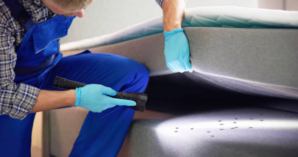 Best Affordable Pest Control Services  in Morgan Hill, CA